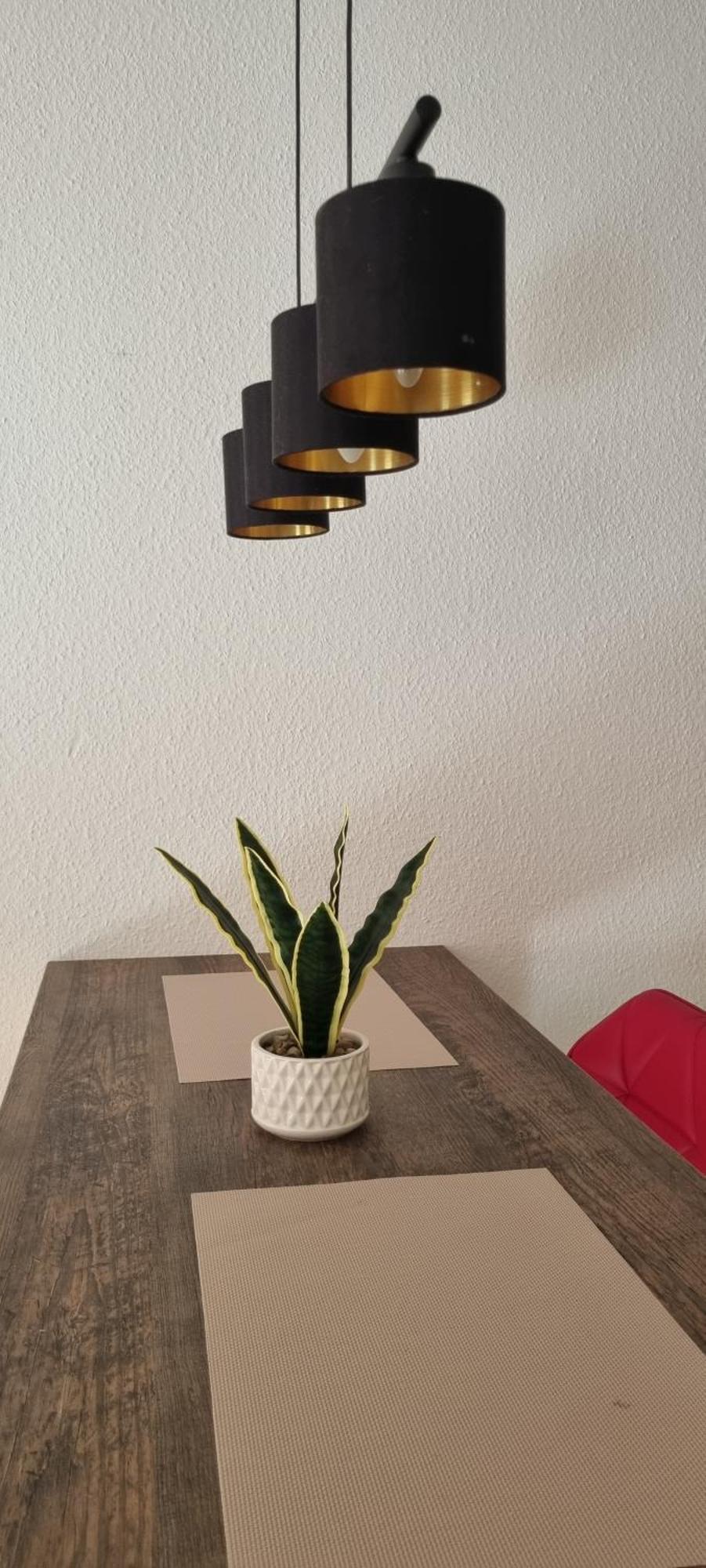 Apartment Zeisigwaldstube Chemnitz
